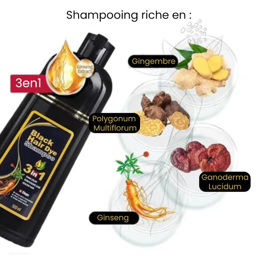 Shampooing Colorant Noir 3-en-1